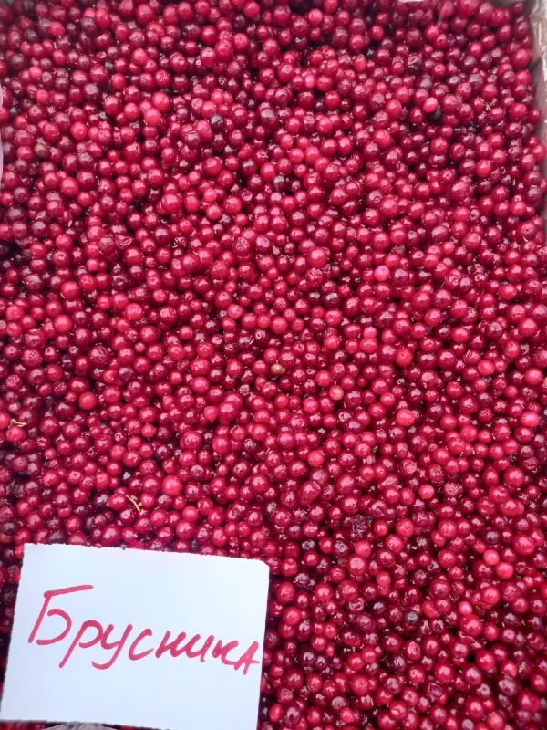 Брусника