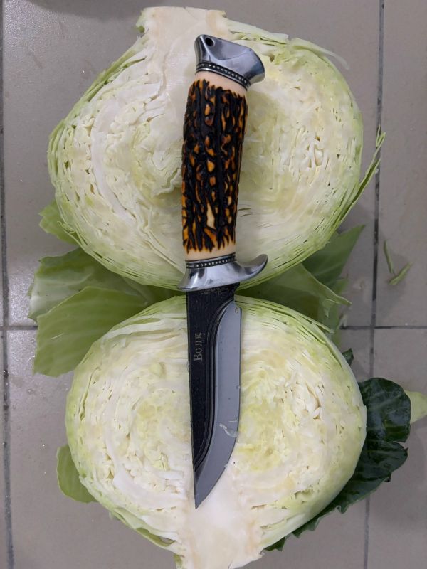 Капуста