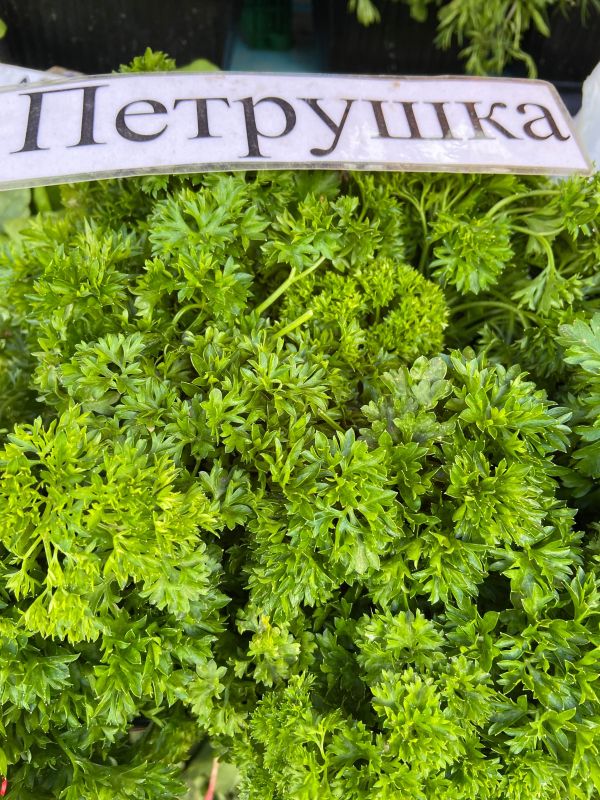 Шпинат