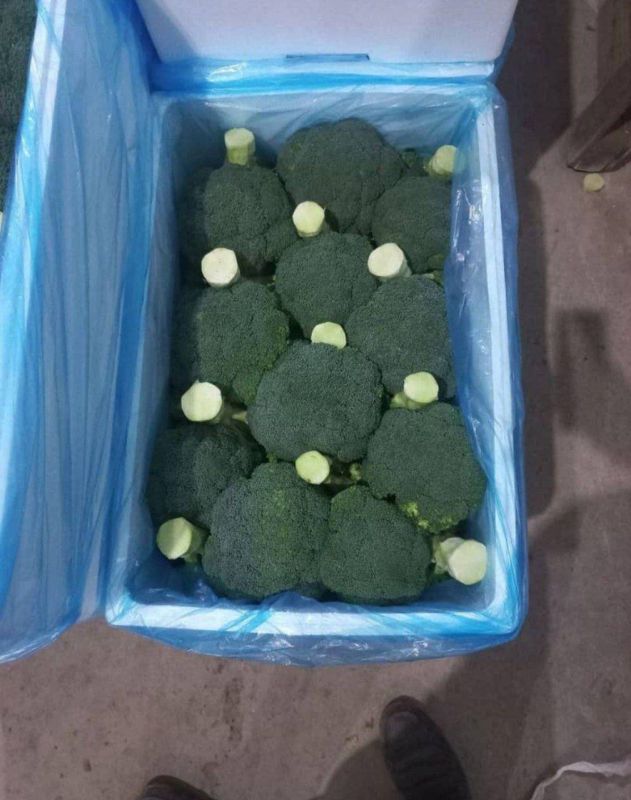 Брокколи