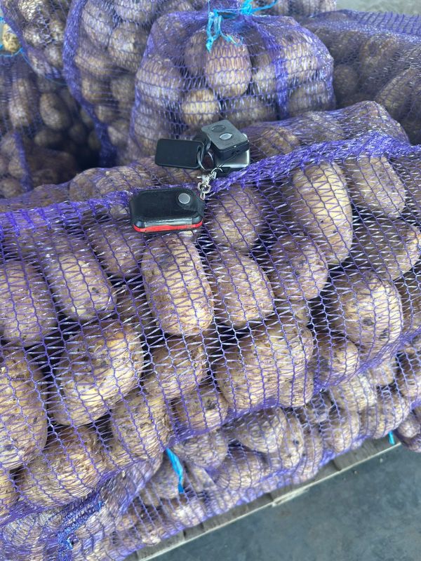 Картофель