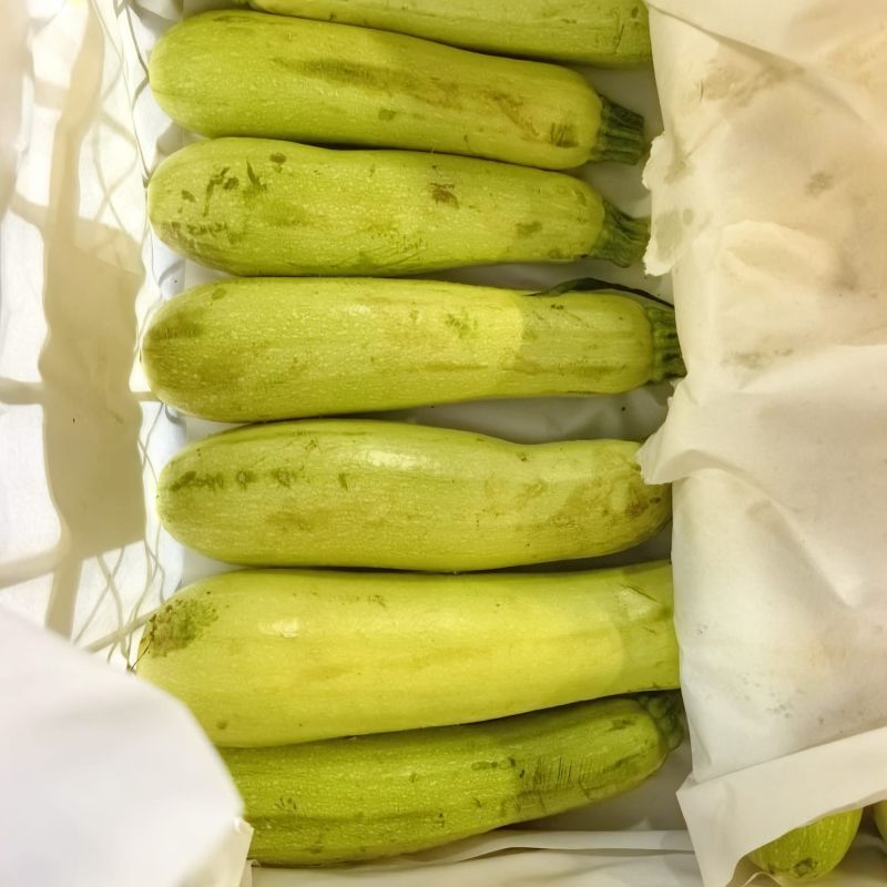 Кабачок