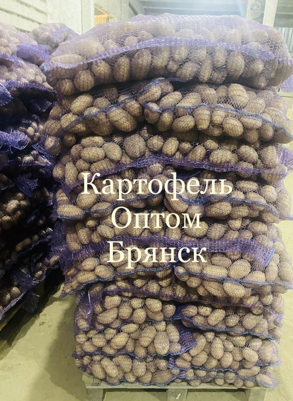 Картофель