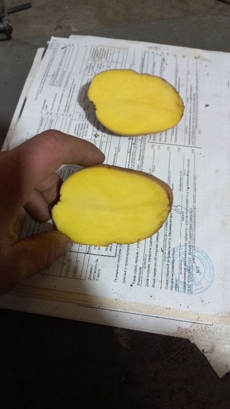 Картофель