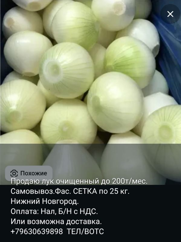 Лук