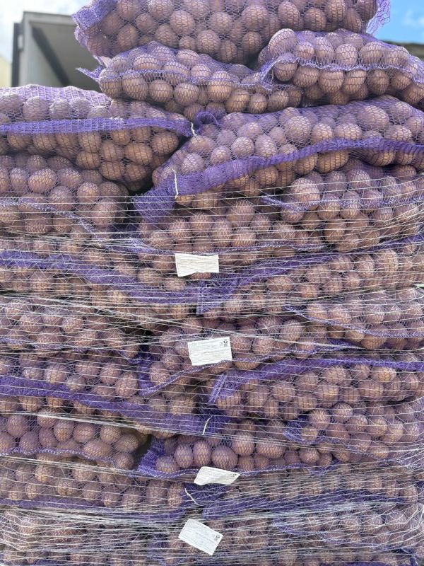 Картофель