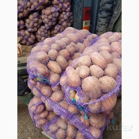 Картофель