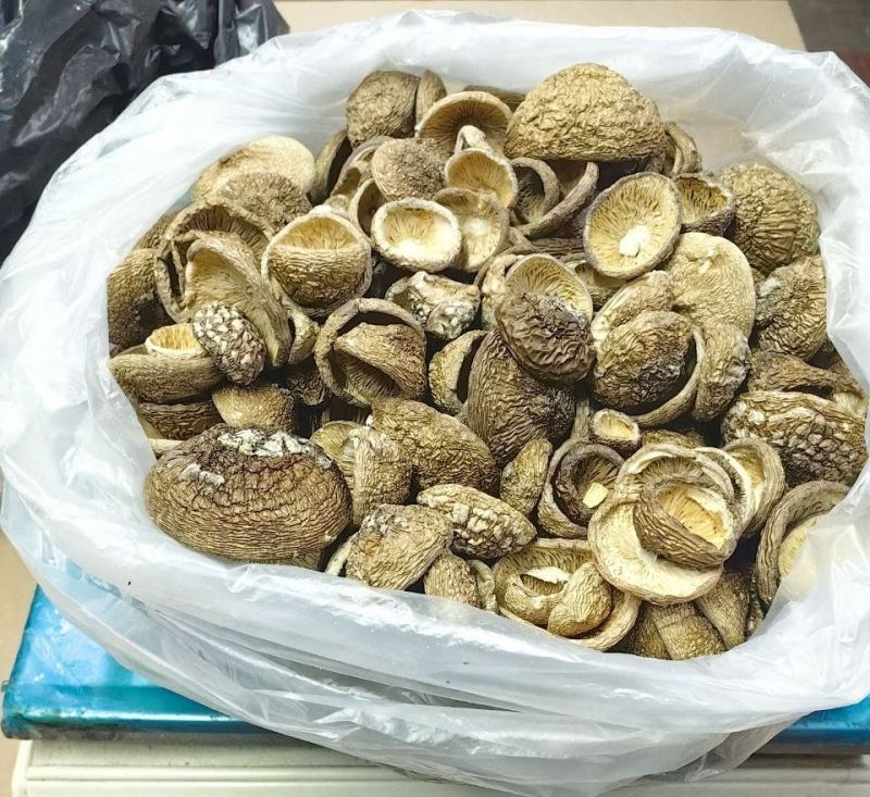 Сыроежка