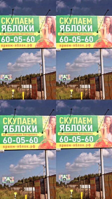 Яблоко