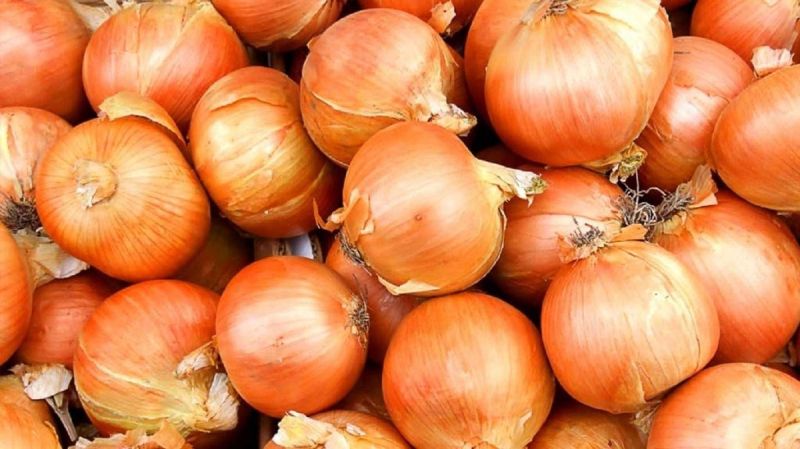 Лук