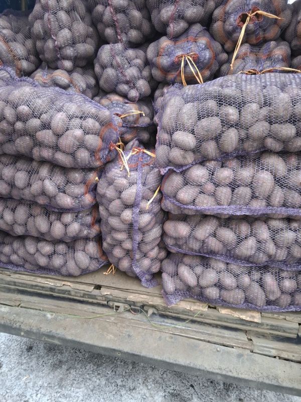 Картофель