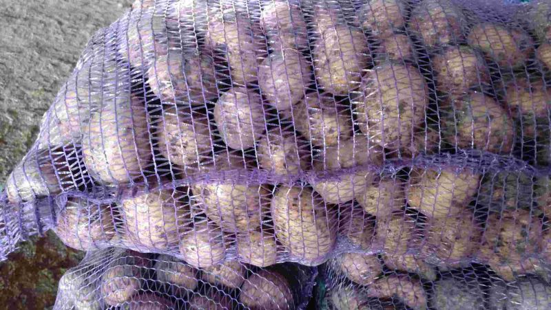 Картофель