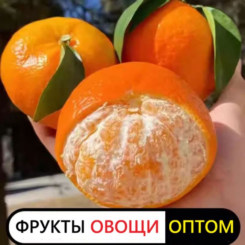 Мандарин