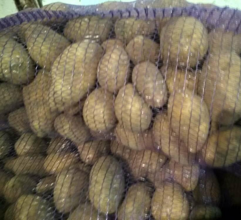 Картофель