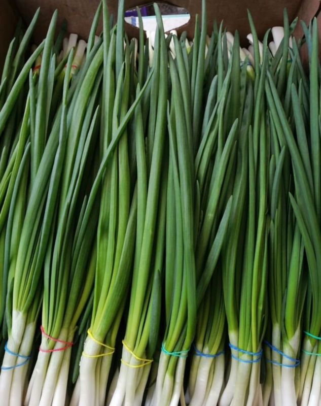 Лук